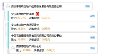 安庆市秀峰房地产信息咨询服务有限责任公司 专业房地产信息咨询服务的价值与优势